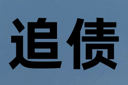 恩施催数公司